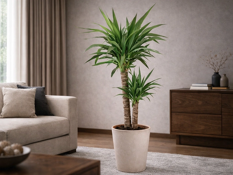 Декоративный цветок в кашпо