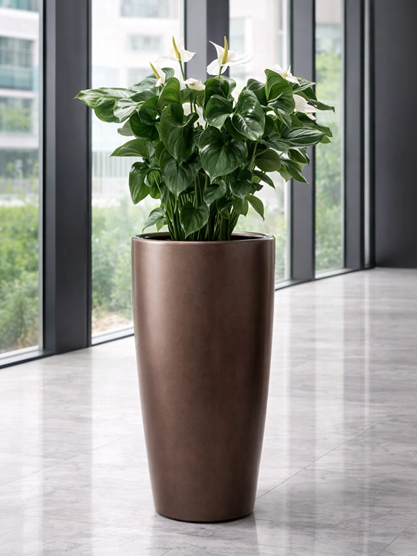 Живое напольное растение в темно-коричневом кашпо, дополняющее цветовую гамму интерьера гостиной